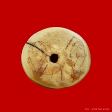 เสือหลวงพ่อปาน วัดบางเหี่ย พิมพ์หุบปาก