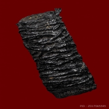 ตะกรุดหนังหน้าผากเสือ หลวงปู่บุญ วัดกลางบางแก้ว