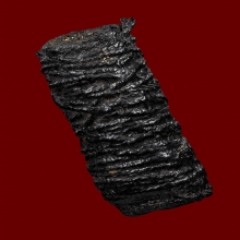 ตะกรุดหนังหน้าผากเสือ หลวงปู่บุญ วัดกลางบางแก้ว