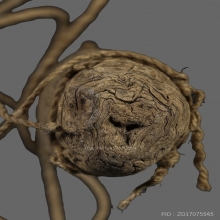 ตะกรุดยันต์กระดาษสา หลวงพ่ออี๋ แห่งวัดสัตหีบ