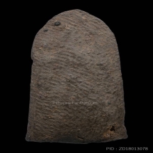 พระรอด วัดพระสิงห์ หูขีด นิยมสุด