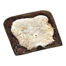 พระสีวลีหลวงพ่อแฉ่ง วัดบางพัง 