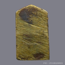 เหรียญเจ้าคุณศรีสนธิ์พิมพ์ปางถวายเนตร