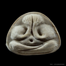 พระปิดตามหาเสน่ห์ หลวงปู่โต๊ะ วัดประดู่ฉิมพลี