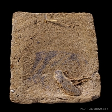 สมเด็จหมออวยหลวงปู่ขาว อนาลโย เนื้อชานหมาก