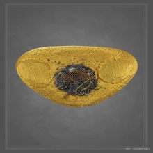 รูปหล่อหลวงปู่โฉม วัดอัมพาราม เนื้อทองคำ เบอร์ 39