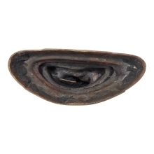 พระพุทธรูป ศิลปะคันธราช