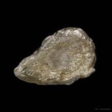 พระปิดตารุ่นแรก(ปุ้มปุ้ย)พ่อท่านคลิ้ง วัดถลุงทอง นครศรีฯ