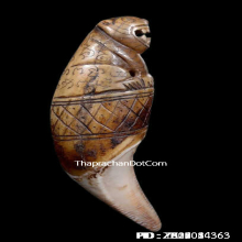 เขี้ยวเสือหลวงพ่อนก วัดสังกะสี ยุคต้นเก่ามาก