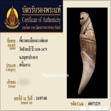 เขี้ยวเสือหลวงพ่อนก วัดสังกะสี ยุคต้นเก่ามาก