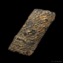 “ตะกรุดไม้ครูดอกเล็กปิดทอง”หลวงปู่ภู วัดอินทร์