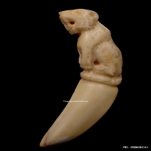 เสืองาแกะ หลวงพ่อคง วัดวังสรรพรส