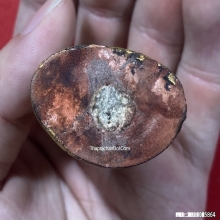 พระสังกัจจายน์หลวงปู่บุญ วัดกลางบางแก้ว จ.นครปฐม เนื้อไม้