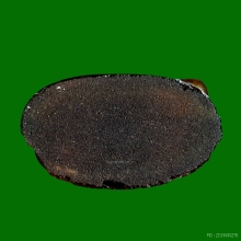 หลวงพ่อพระพุทธชินราช เนื้อแก้วสีเหลืองน้ำผึ้ง ปี2493