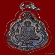 เหรียญเสือกลับ หลวงพ่อสุด วัดกาหลง ปี 2521