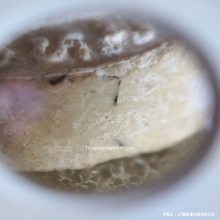 พระปิดตาหลังพระสังกัจจายน์ หลวงพ่อพรหม วัดขนอนเหนือ ปี 2527