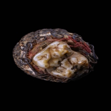 เขี้ยวหมูป่าตันผอกผงถักลวด ของทนสิทธิ์เก่ากึก 