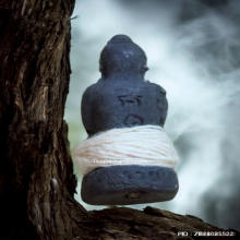 กุมารทองดูดรก หลวงปู่หงษ์ วัดเพชรบุรี ปี 53 เนื้อผงดิน