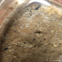 พระหลวงปู่อ้น วัดบางจาก