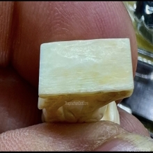 สิงห์งาแกะ หัวมังกรขวัญเลข๑ สวยเก่าสมบูรณ์ เต็ม100