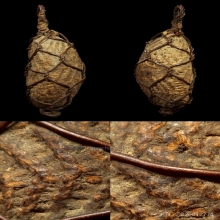 เบี้ยแก้หลวงปู่รอด วัดนายโรง No.1 เบญจภาคีเบี้ยแก้