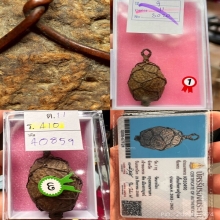 เบี้ยแก้หลวงปู่รอด วัดนายโรง No.1 เบญจภาคีเบี้ยแก้