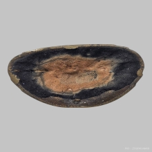 พระบูชาปางตรัสรู้ หลวงพ่อแพ ปี 2494 