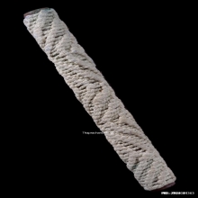 ตะกรุดมหาจักรพรรดิ์หลวงปู่ดู่ วัดสะแก จ.พระนครศรีอยุธยา