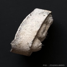 พระปิดตาหลวงปู่โต๊ะร่วมปลุกเสก