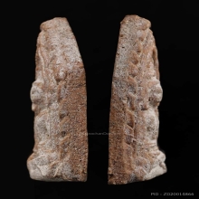 พระเนื้อผง 