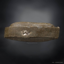 พระปิดตาหลวงปู่โต๊ะ ยันต์ดวงเล็ก 