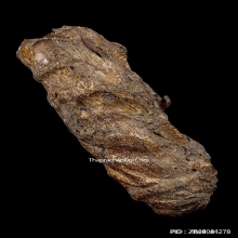 ตะกรุดหนังหน้าผากเสือ หลวงพ่อจง วัดหน้าต่างนอก