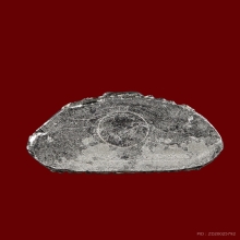 รูปหล่อหลวงพ่อพรหม วัดช่องแค (ผู้ใหญ่ลี)