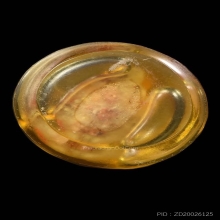 พญาเต่าเรือนหินสบู่ขนาดห้อยคอหลวงพ่อสนิท