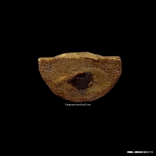 สี่หูห้าตาครูบาบุญยัง เนื้อไม้ม่วงคำ ปี2545