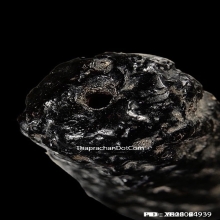 ตะกรุดสาริกาหน้าผากเสือหลวงพ่อนอ วัดกลางท่าเรือ จ.อยุธยา