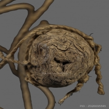 ตะกรุดยันต์กระดาษสา หลวงพ่ออี๋ แห่งวัดสัตหีบ 