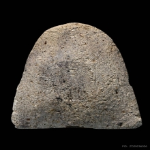 พระเนื้อผงหลวงปู่ศุข วัดประสาทฯ