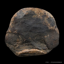 พระร่าวงนั่ง เข่ากว้าง กรุ สปจ จ.กำแพงเพชร