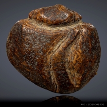 ลิงเม็ดกระบกแกะ หลวงพ่อดิ่ง วัดบางวัว