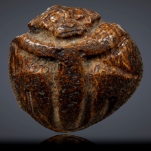 ลิงเม็ดกระบกแกะ หลวงพ่อดิ่ง วัดบางวัว