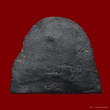 พระเนื้อผงหลวงปู่ศุข วัดประสาทฯ