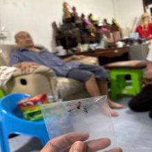 พ่อหุ่น พยนต์อาจารย์ปี่สมานแจ้งเจริญ