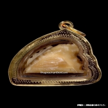 เสือหลวงพ่อหมุน วัดเขาแดงตะวันออก จ.พัทลุง