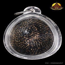 เบี้ยแก้ยุคกลาง หลวงปู่เพิ่ม เชือกปอลงรัก สภาพสวยสมบูรณ์มาก