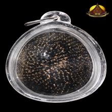 เบี้ยแก้ยุคกลาง หลวงปู่เพิ่ม เชือกปอลงรัก สภาพสวยสมบูรณ์มาก