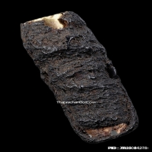 ตะกรุดสาริกาหลวงปู่เอี่ยม วัดหนัง เนื้อทองคำ