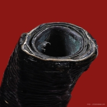 ตระกรุดจันทร์เพ็ญ ล.ป.ศุข วัดปากคลองมะขามเฒ่า จ.ชัยนาท