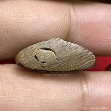 พระกริ่งหน้ายักษ์ หลวงพ่อฑูรย์ วัดโพธิ์นิมิตร ปี2484