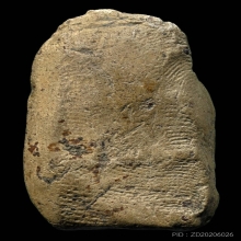 พระคงเนื้อดิน กรุลำพูน จ.ลำพูน